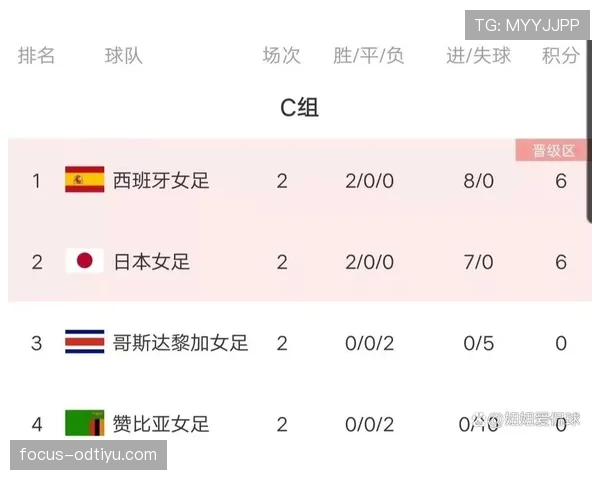 捷克队有望从世界杯A组成功晋级吗